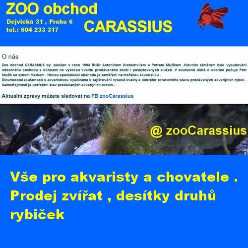 Vše pro akvaristy a chovatele.Prodej zvířat , desítky druhů rybiček