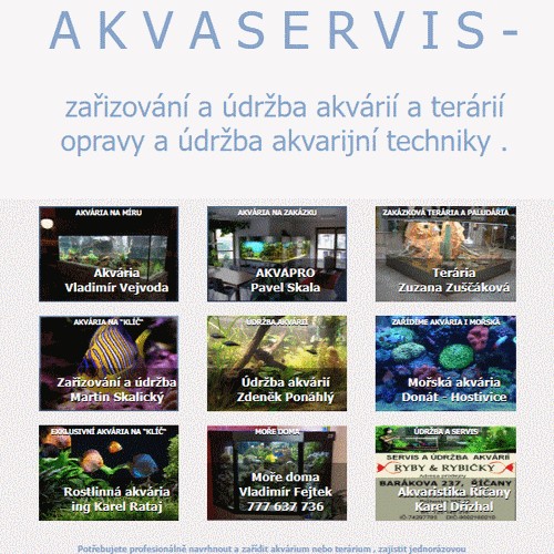 Návrh , zařizování a údržba akvárií a terárií od profesionálů.