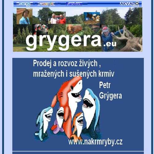 Grýgera Petr , Grýgera Ladislav & akvaristika.